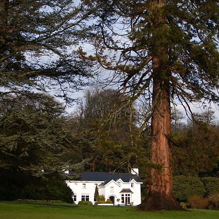 Ynyshir Restaurant And Rooms Machynlleth Bagian luar foto