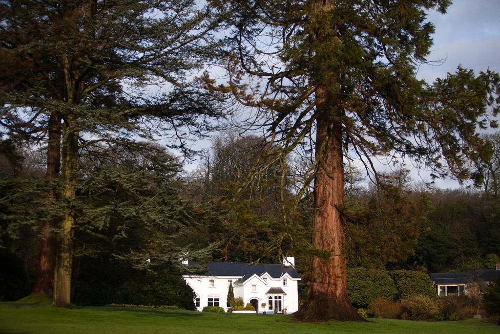 Ynyshir Restaurant And Rooms Machynlleth Bagian luar foto