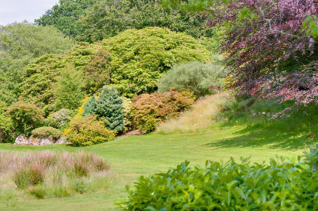 Ynyshir Restaurant And Rooms Machynlleth Bagian luar foto